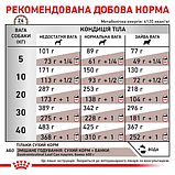 Royal Canin DOG Gastrointestinal для дорослих собак при гострих розладах ШКТ 2кг (від 12 місяців), фото 7