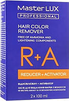 Засіб для видалення фарби з волосся Master LUX professionalEStyle