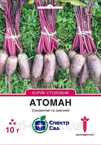 Буряк Атоман, 10 г Спектр, фото 1