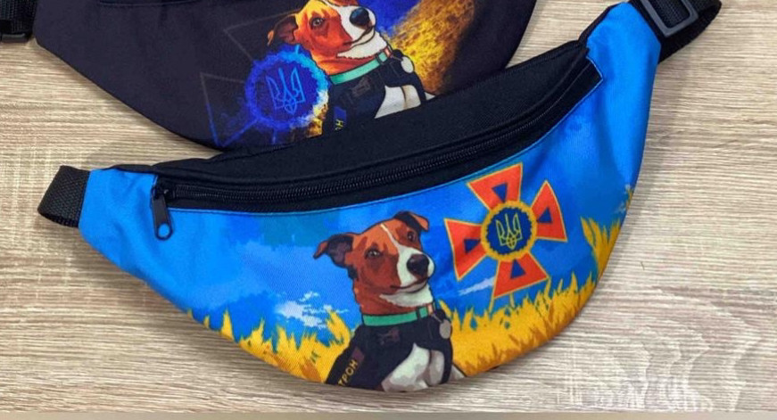 Бананка дитяча 30*15 на блискавці принт в різних варіантах Panda