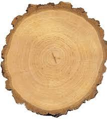 Масив берези для пиляного шпону