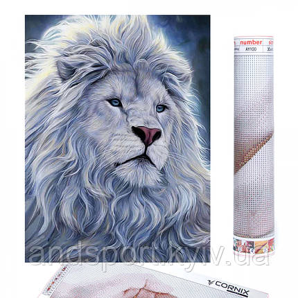 Набір алмазної мозаїки (вишивки) Cornix Art 40 x 30 см AY57, фото 1