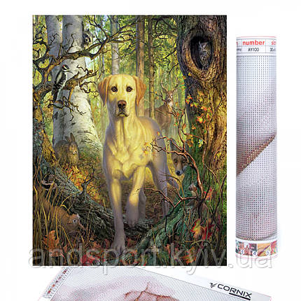 Набір алмазної мозаїки (вишивки) Cornix Art 40 x 30 см AY31, фото 1