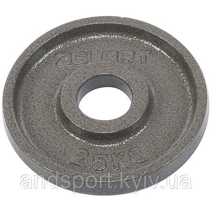 Млинці диски сталеві пофарбовані Zelart TA-7792-2_5 52мм 2,5 кг сірий Код TA-7792-2_5, фото 1