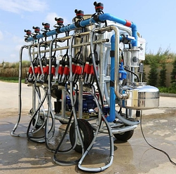 Доїльна платформа для одночасного доїння 6 корів