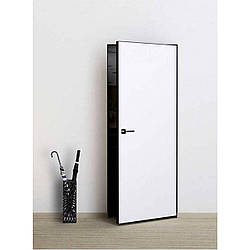 Двері прихованого монтажу Wakewood Evolushion з AL чорним торцем (зовнішнього відкриття)