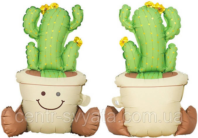 Стояча фольгована кулька КНР (56х56 см) Вазон кактус