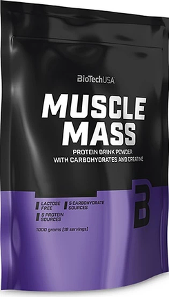 Muscle Mass BioTech 1000 g Vanila, фото 1