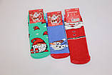 Детские носки махровые новогодние для малышей х/б НЛ 12-14 м-3 гном,Santa,снеговик, фото 2