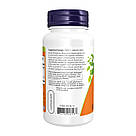 Horse Chestnut 300mg - 90 vcaps, фото 4