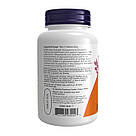 Glucosamine & Chondroitin Extra Strength - 60 tabs, фото 4