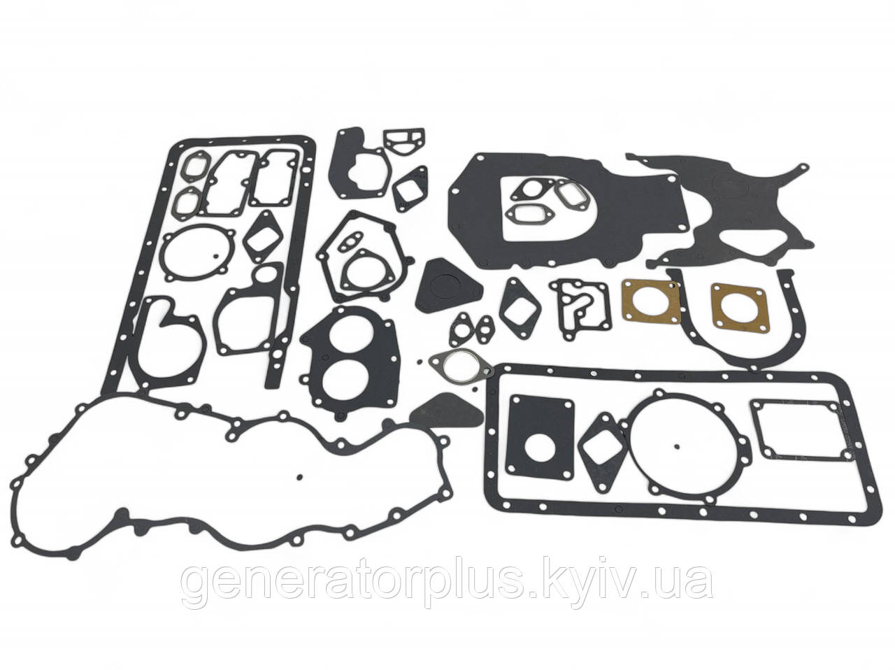 Комплект прокладок параніт на двигун 495BT 50100000778 Ricardo/Matari, фото 1