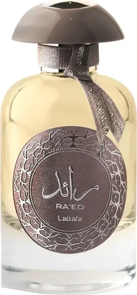 Raed Silver U 100 ml, фото 1