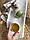 Чашка Cupping Bowl 160 мл Фісташка Yellow, фото 3