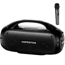 Бездротові Акустичні системи з караоке мікрофоном