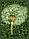 Пслід з мікрофібри Одуванчики зелені, 160*210, 200*220, Польща, фото 3