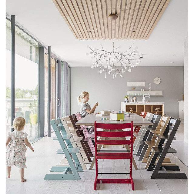 Стульчик детский Stokke Tripp Trapp Стульчик детский Stokke Tripp Trapp