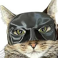 Маска Бетмен-кіт