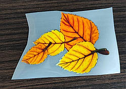 Термонаклейка на одяг, тканину