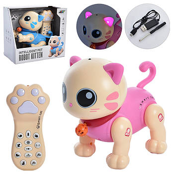 Кіт Le Neng Toys на дистанційному управлінні в асортименті арт. K31
