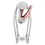 Дитяче крісло-гойдалка Lionelo RUBEN PINK BABY, фото 4