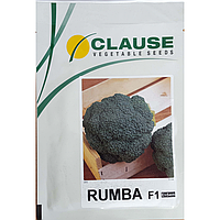 Семена капусты Румба F1 (Clause), 2500 семян средне-ранняя (65-75 дней), брокколи