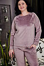 Комплект домашній ВЕЛЮРОВИЙ 2-ка БАТАЛ штани кофта ЛАВАНДА 618, фото 2