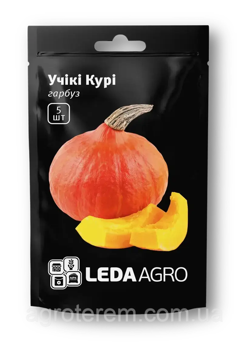 Леда Гарбуз Учікі Курі, хокайдо тип, 5 шт