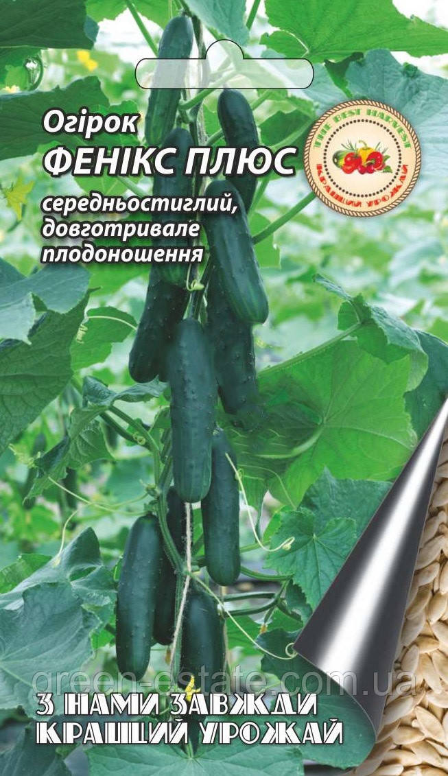 Огірок Фенікс плюс 4 г.