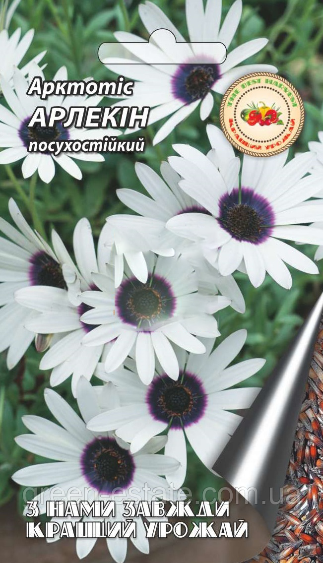 Арктотис Арлекін 0,2 р.