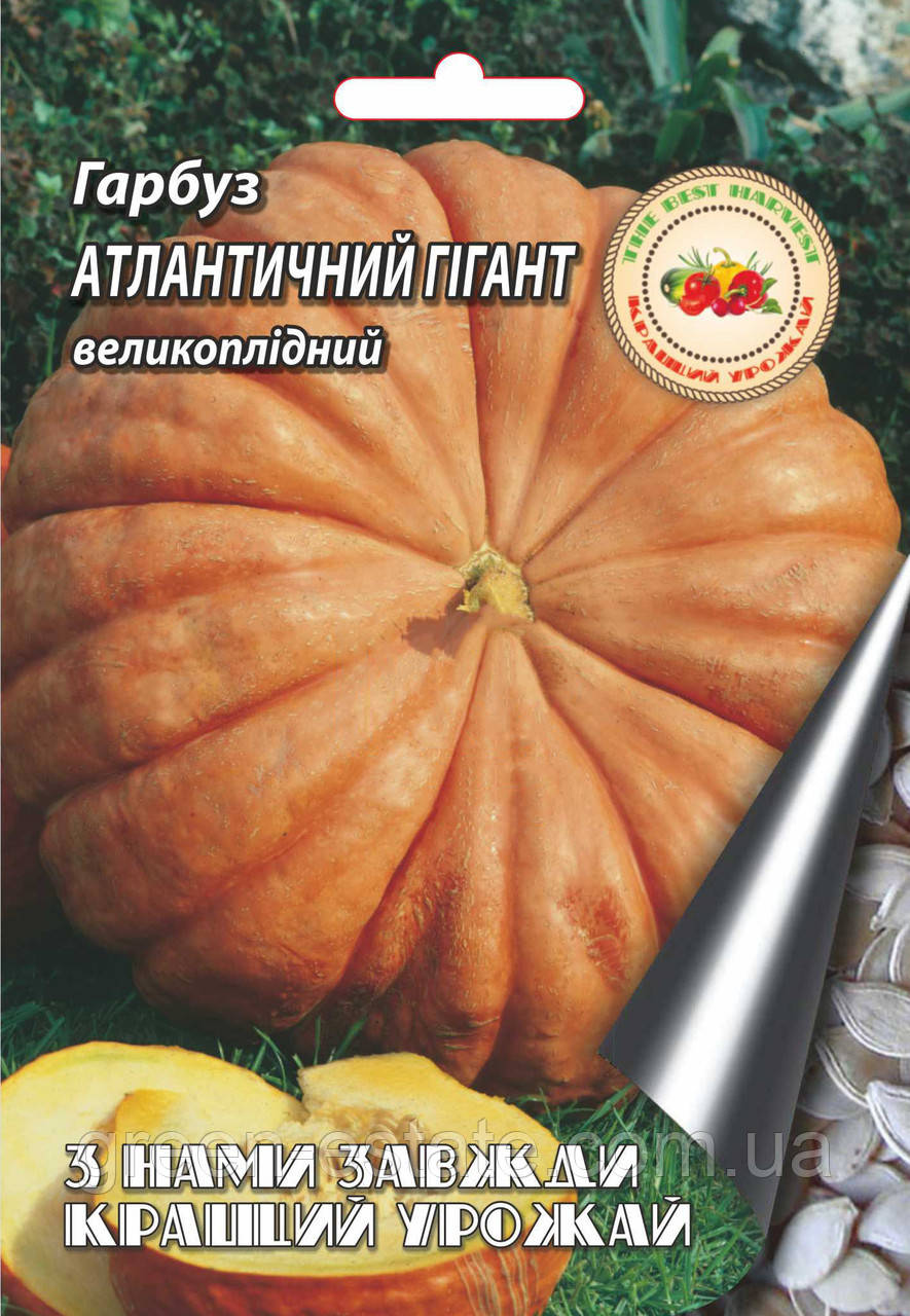 Гарбуз Атлантичний гігант 10 г.