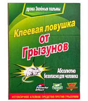 Популярний! 5шт Мишоловка липка TG-21, 12 х 17 см - Краща якість тільки на Nukleon.com.ua