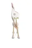 Стільчик для годування 2в1 Caretero Bill Pink, фото 7