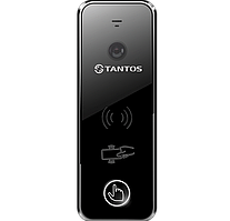 Панель Tantos iPanel 2 WG (black)