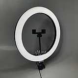 Кільцева світлодіодна Led-лампа YQ 30 cm тримачем для телефона та кріпленням під штатив — QX-300, чорна, фото 7