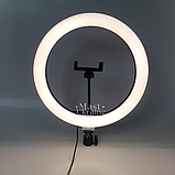 Кільцева світлодіодна Led-лампа YQ 30 cm тримачем для телефона та кріпленням під штатив — QX-300, чорна, фото 4