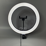 Кільцева світлодіодна Led-лампа YQ 30 cm тримачем для телефона та кріпленням під штатив — QX-300, чорна, фото 5