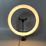 Кільцева світлодіодна Led-лампа YQ 30 cm тримачем для телефона та кріпленням під штатив — QX-300, чорна, фото 6