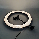 Кільцева світлодіодна Led-лампа YQ 30 cm тримачем для телефона та кріпленням під штатив — QX-300, чорна, фото 8