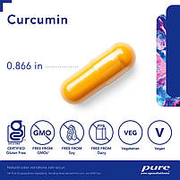 Куркумін Pure Encapsulations (Curcumin) 60 капсул BX315, фото 4