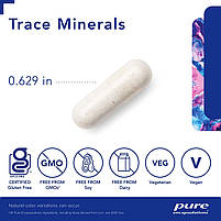 Трасувальні мінерали Pure Encapsulations (Trace Minerals) 60 капсул BX645, фото 4