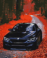 Картини за номерами "BMW" Artissimo полотно на підрамнику 50x60 см PNX9652