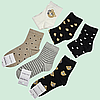 Шкарпетки жіночі Trendy Socks Golden Collection MY1001, р. 36-41 9301, фото 4