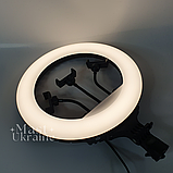 Кільцева LED лампа світлодіодна з трьома тримачами для телефона Soft Ring 36 см, тік ток лампа кругла, HG-14, фото 6