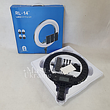 Кільцева LED лампа світлодіодна з трьома тримачами для телефона Soft Ring 36 см, тік ток лампа кругла, HG-14, фото 10