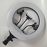 Кільцева LED лампа світлодіодна з трьома тримачами для телефона Soft Ring 36 см, тік ток лампа кругла, HG-14, фото 2