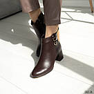 Жіночі демісезонні черевики в трендовому шоколадному кольорі 36-41, фото 2