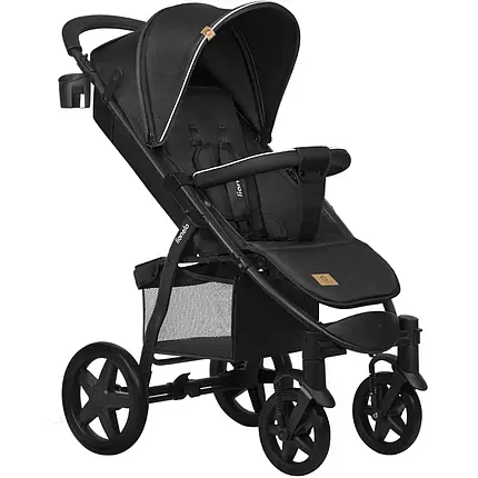 Візок прогулянковий Lionelo Annet Plus Black Carbon Чорний, фото 1