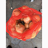 Сітка мішечок для захисту винограду від ос 22х33см. на 2кг. 100 шт.червона Євро сітка мішок для овочів., фото 6