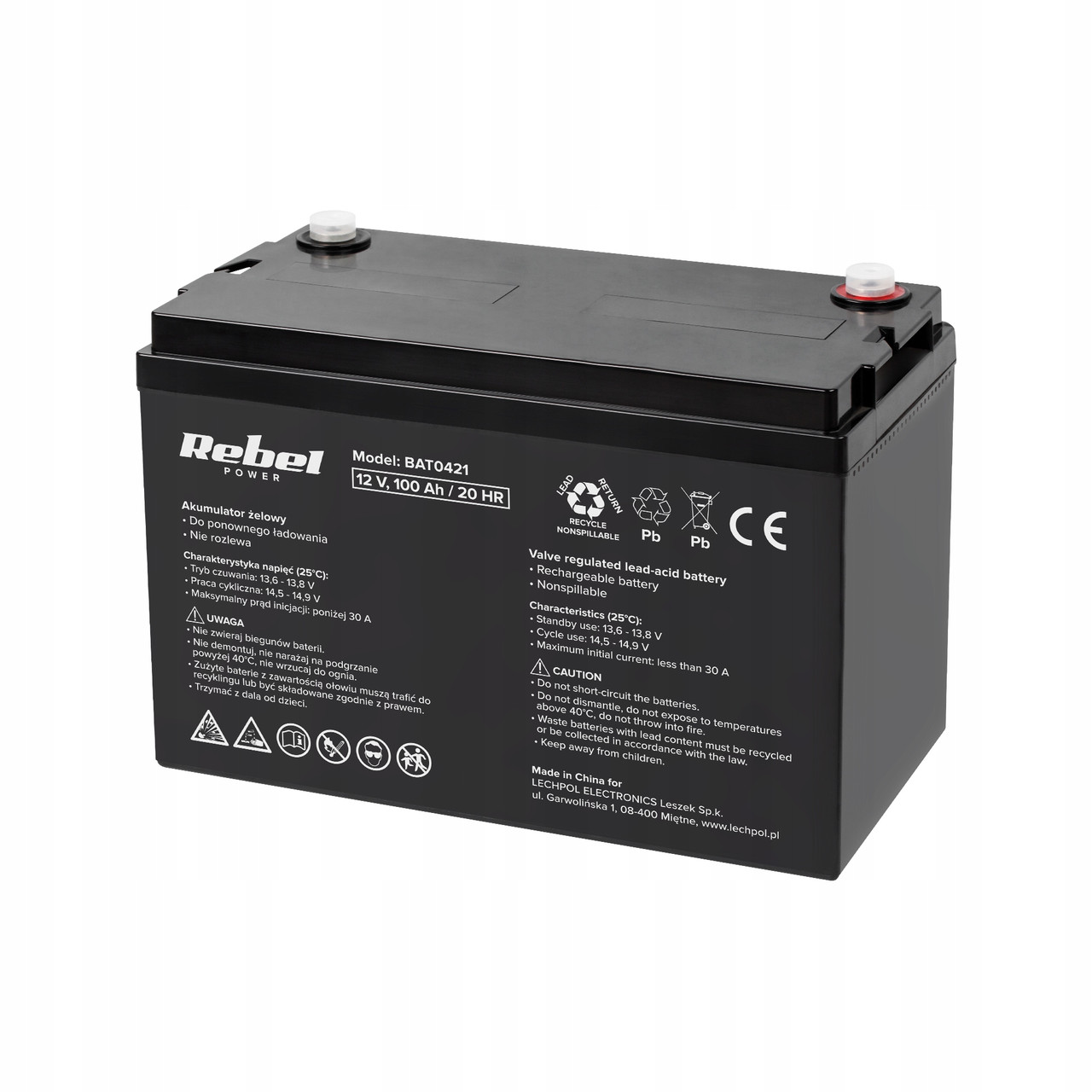 Гелевий акумулятор для ДБЖ Rebel power 12V 100Ah (BAT0421)